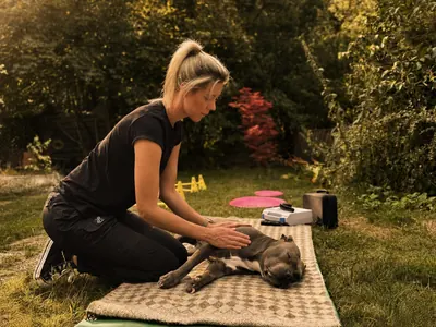 Nadine Boekhoff behandelt einen Hund im Rahmen einer individuellen Tierphysiotherapie in Buchholz in der Nordheide.